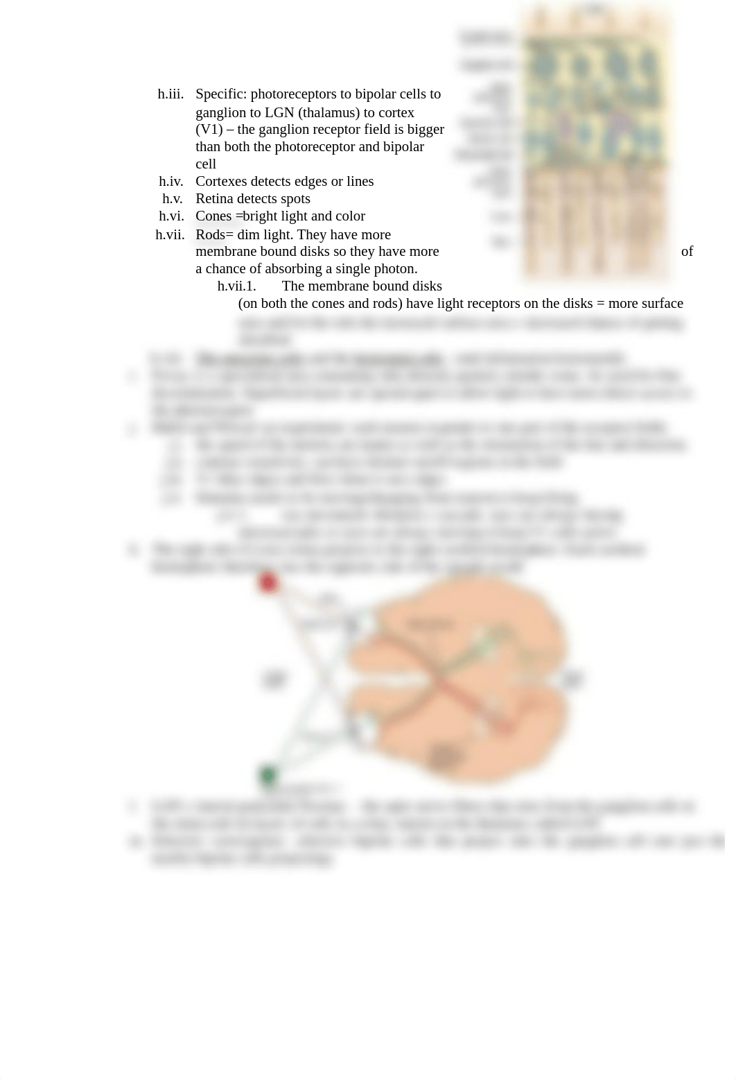 Study Guide for Neurophysiology_dxml5k3x1l2_page2