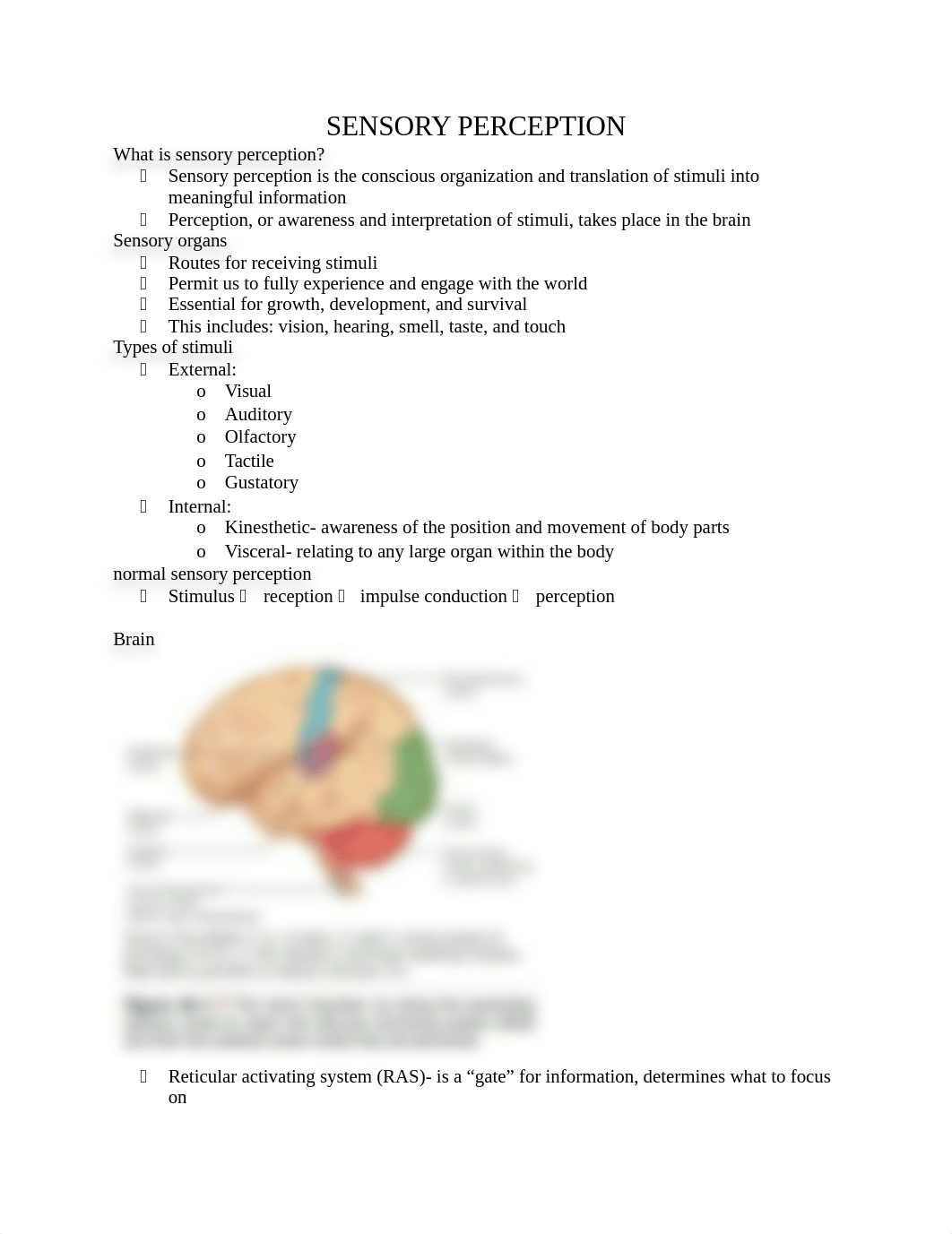 SENSORY PERCEPTION.docx_dxmqdc8xixf_page1