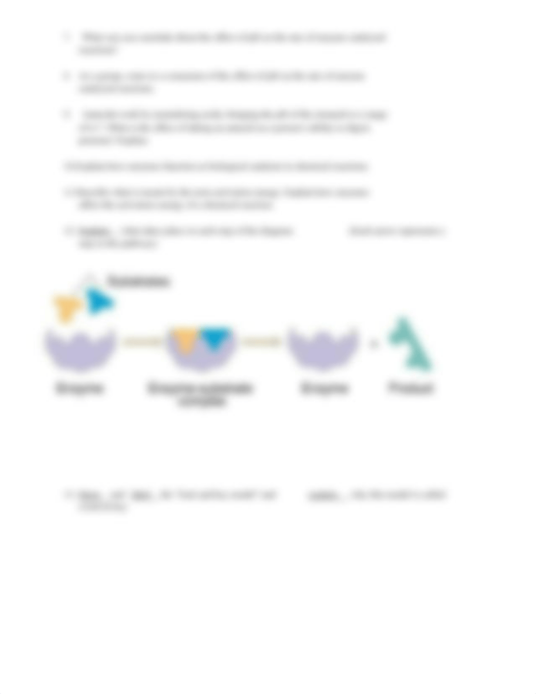 Enzyme Student Practice.docx_dxmw5ha1txh_page2