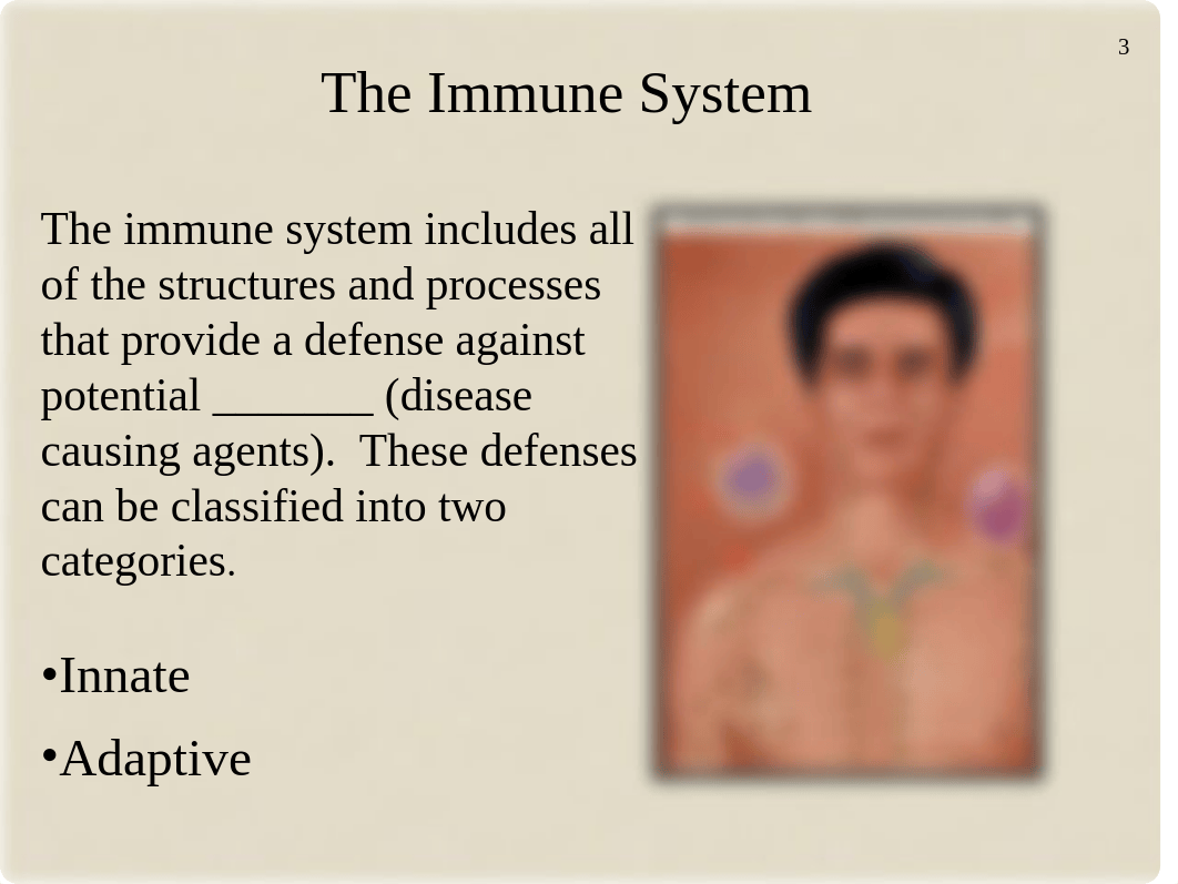 Chapter 15 The Immune System (1).ppt_dxn4kgcr8bc_page3