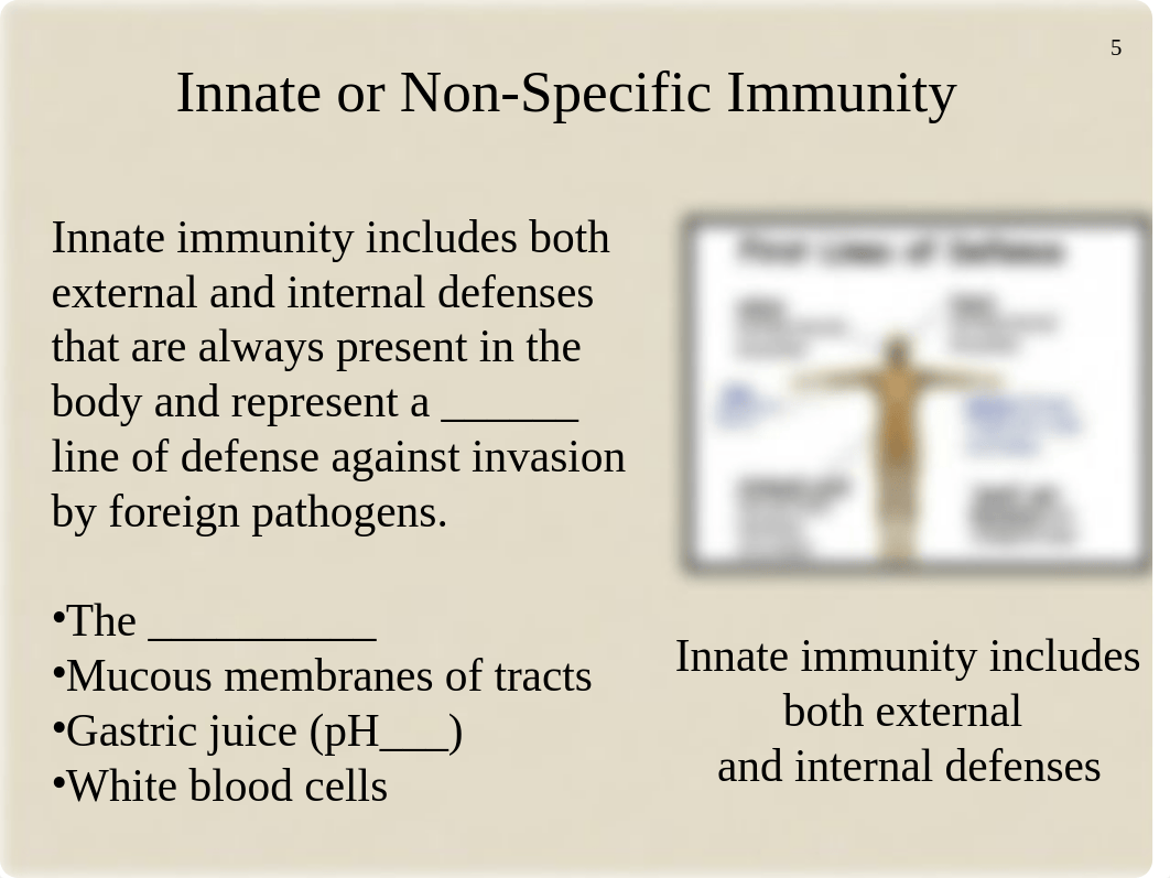 Chapter 15 The Immune System (1).ppt_dxn4kgcr8bc_page5