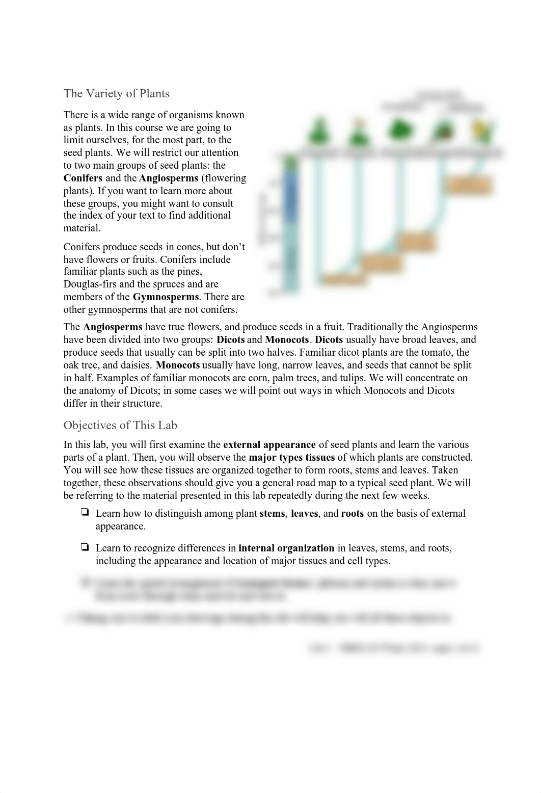 TBIOL140 Lab 2 - Plant external and internal anatomy.pdf_dxnd0j6er7d_page2