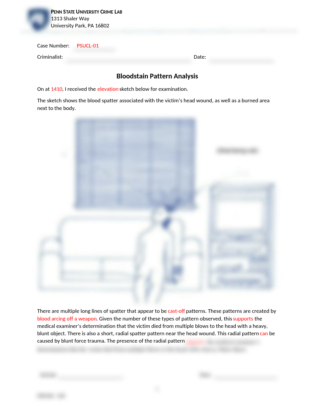 Case Notes - Bloodstain Pattern Analysis---1.docx_dxnd8ihy4e2_page1