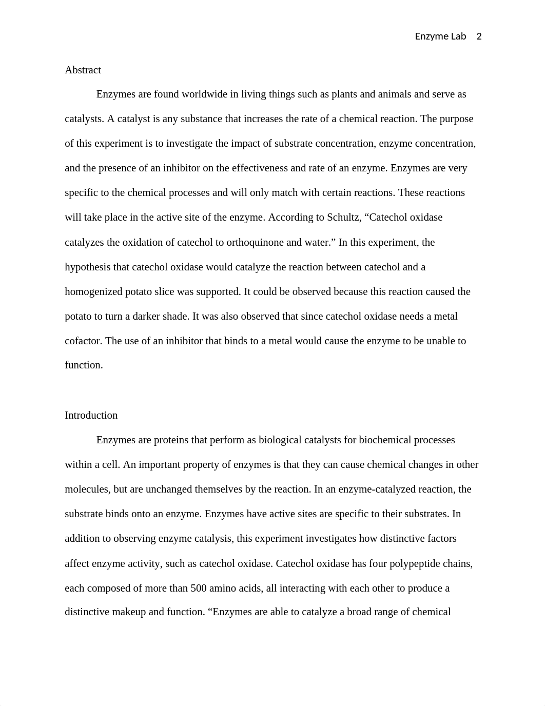 labreport.docx_dxng5h4kpdy_page2