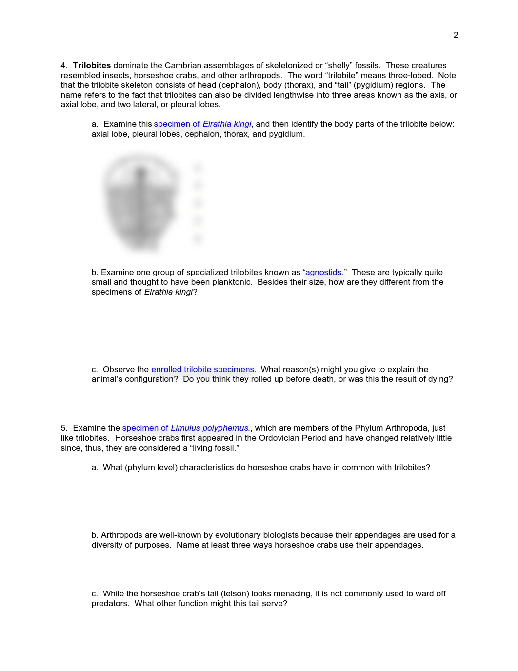 106 - Lab 8 - Fossils.pdf_dxnjpsue6kq_page2