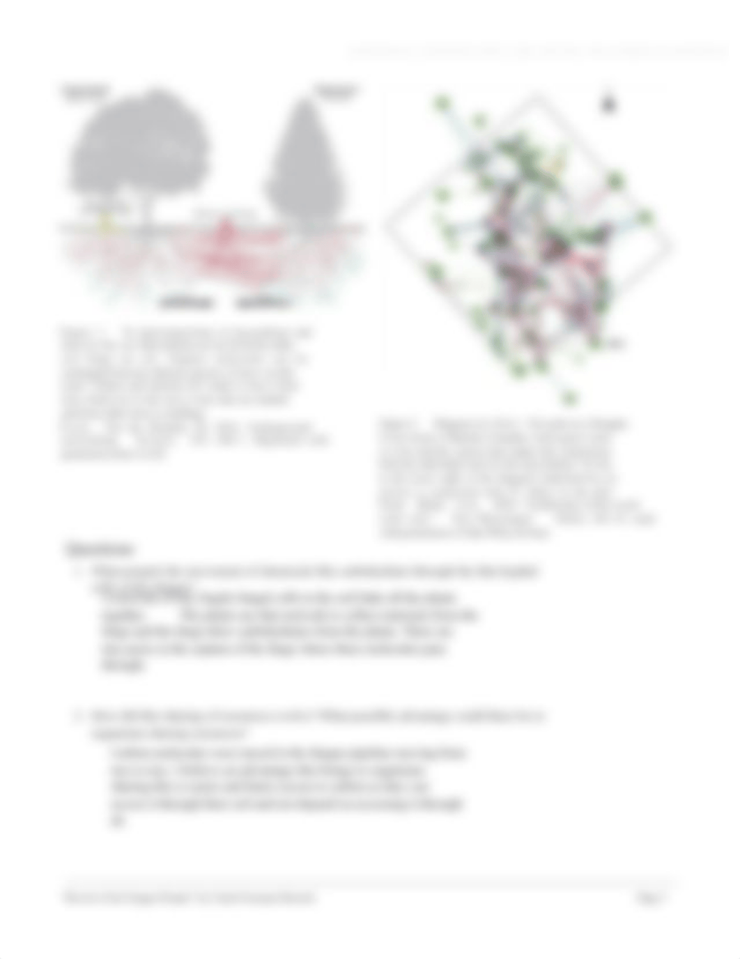 mycorrhizae_network.pdf.docx_dxnqd1fd131_page3