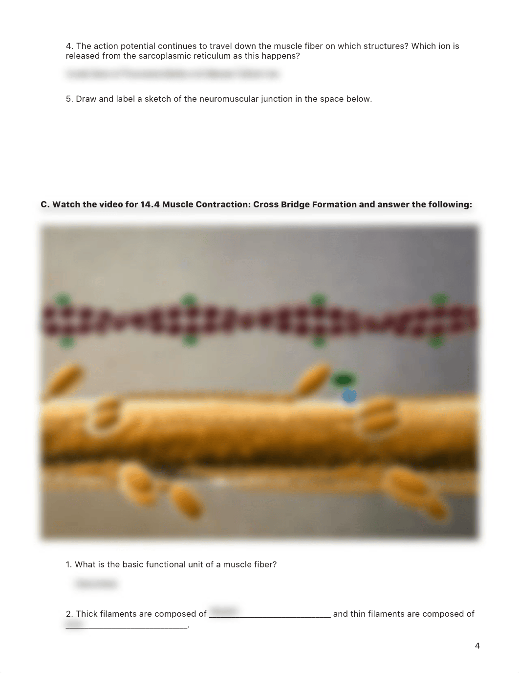 lab manual_lower limb pelvis_a+p.pdf_dxnwecafsw4_page4