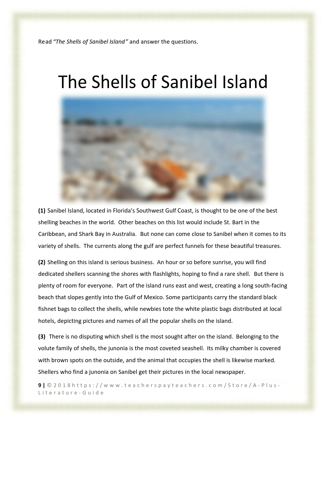 The Shells of Sanibel Island (1).pdf_dxnz5h7lsao_page1