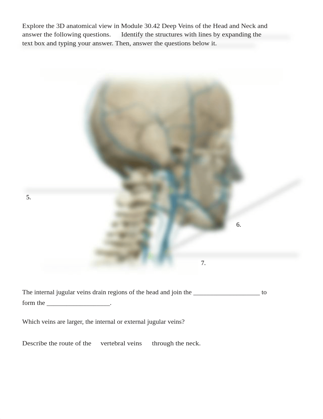 BIO 211 Lab 4 Online Lab Activity Complete (1).docx_dxo6w7q6t76_page3