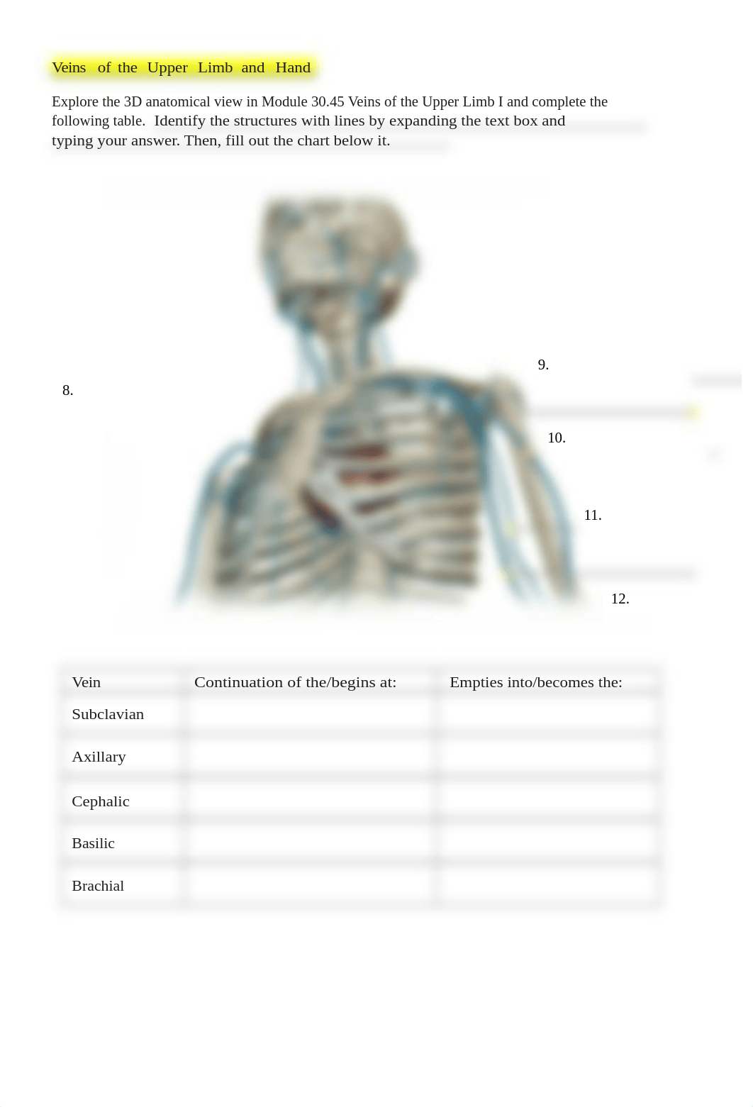 BIO 211 Lab 4 Online Lab Activity Complete (1).docx_dxo6w7q6t76_page4