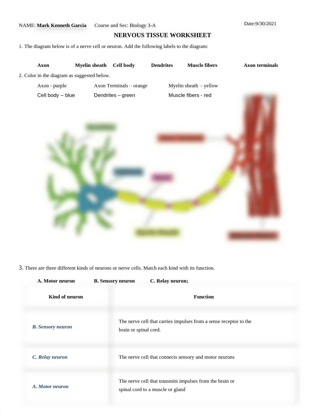 Nervous Tissue - Mkg.pdf_dxo6zgkqfyp_page1