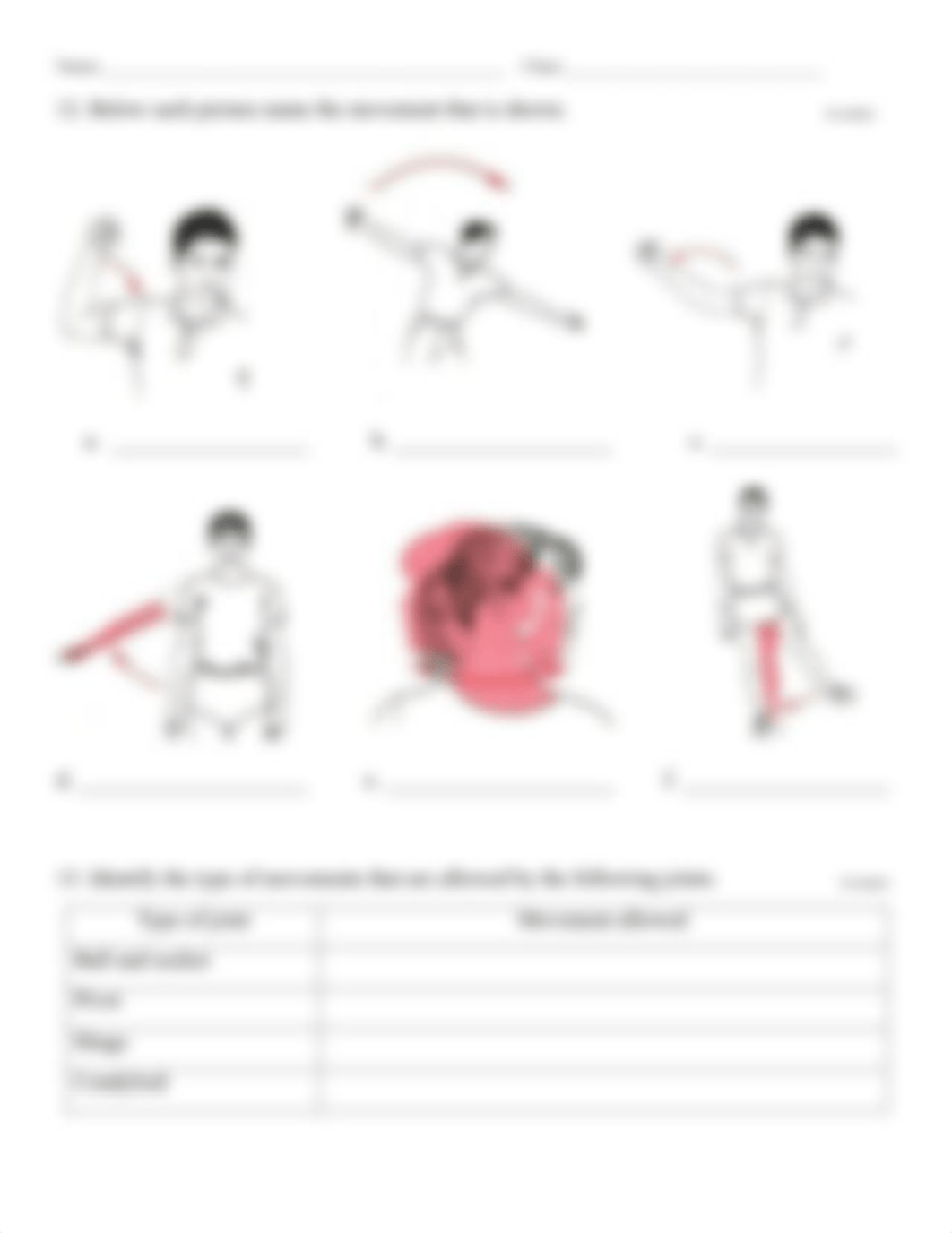 Joints and Movement Worksheet.pdf_dxo8vp0iy16_page4