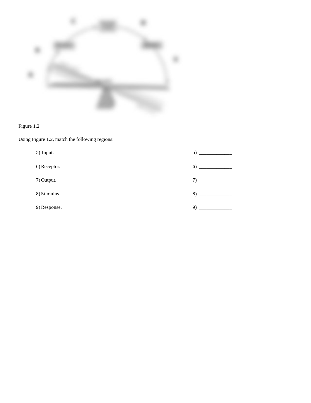 chapter 1 review.pdf_dxoa6drctol_page2