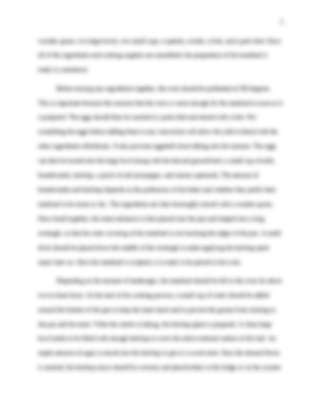 How To - Meatloaf Essay.docx_dxog5d7aex0_page2