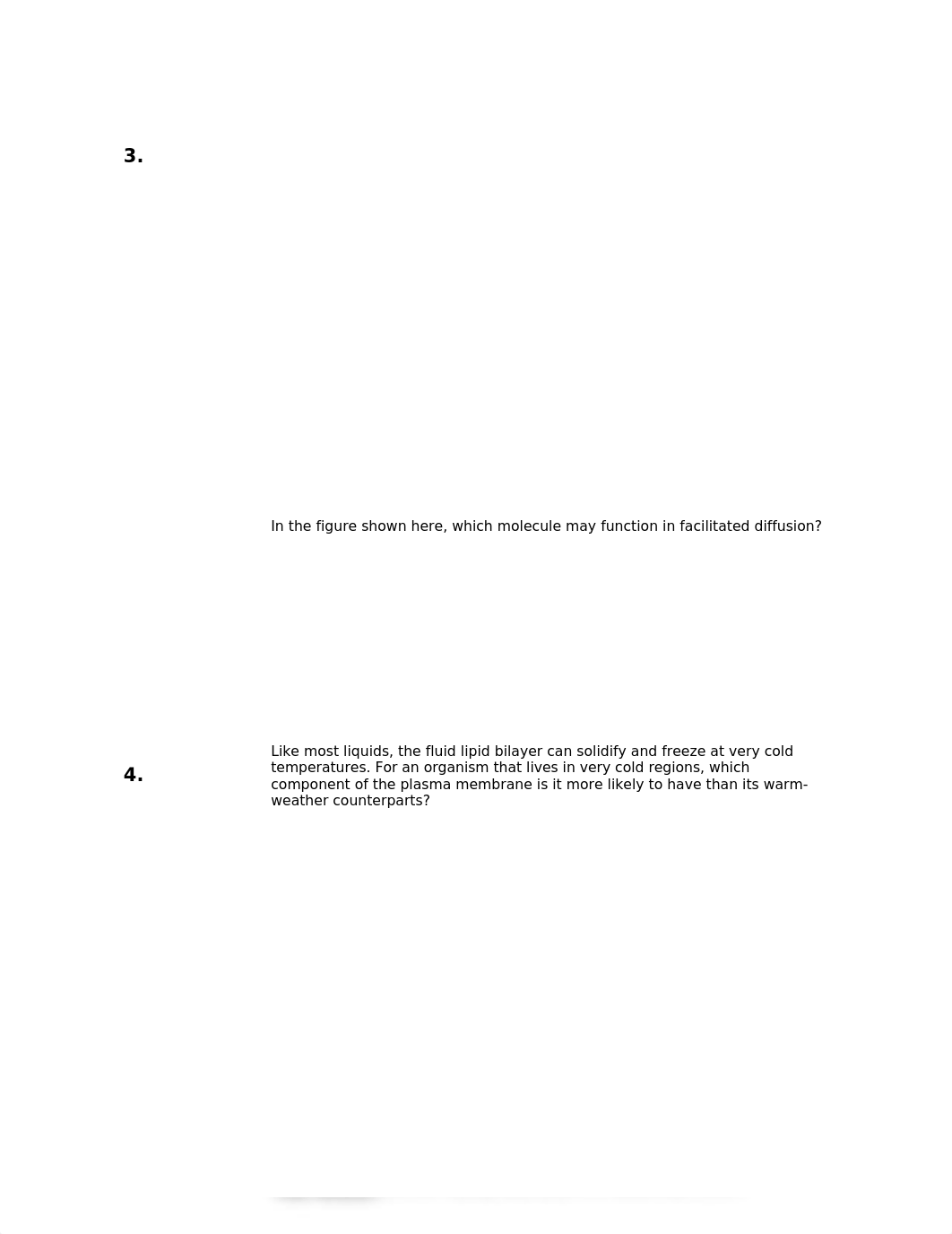 Chp 5 Posttest.docx_dxorjnfniig_page2