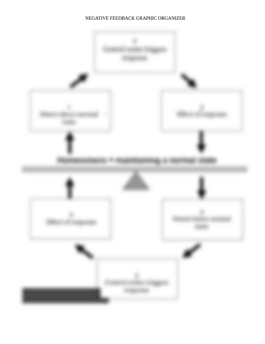 Lakshmi Jetty - (MK) HOMEOSTASIS activity_CUPPLES.pdf_dxov2q5s1kn_page1