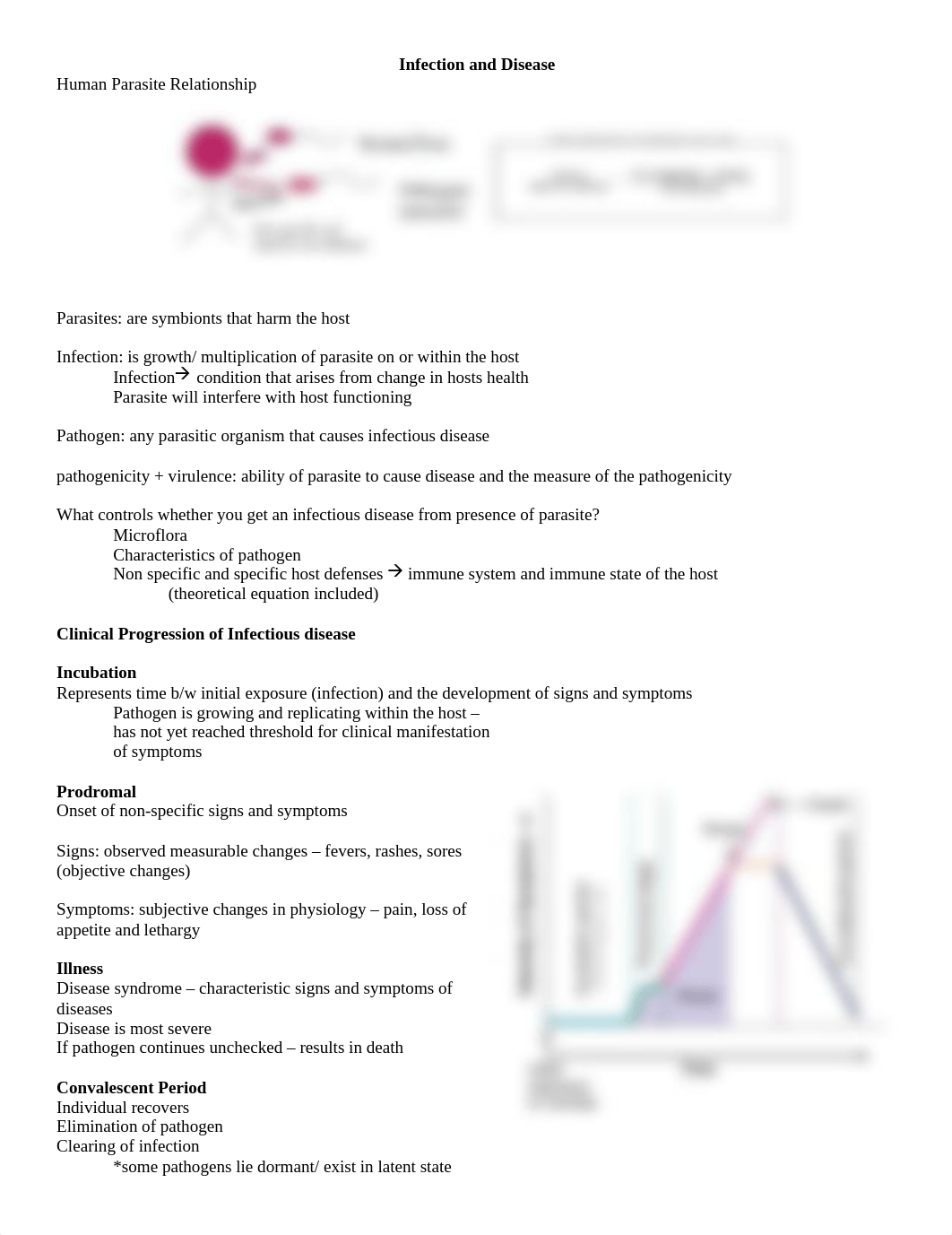 Exam IV.docx_dxozxlusww7_page1