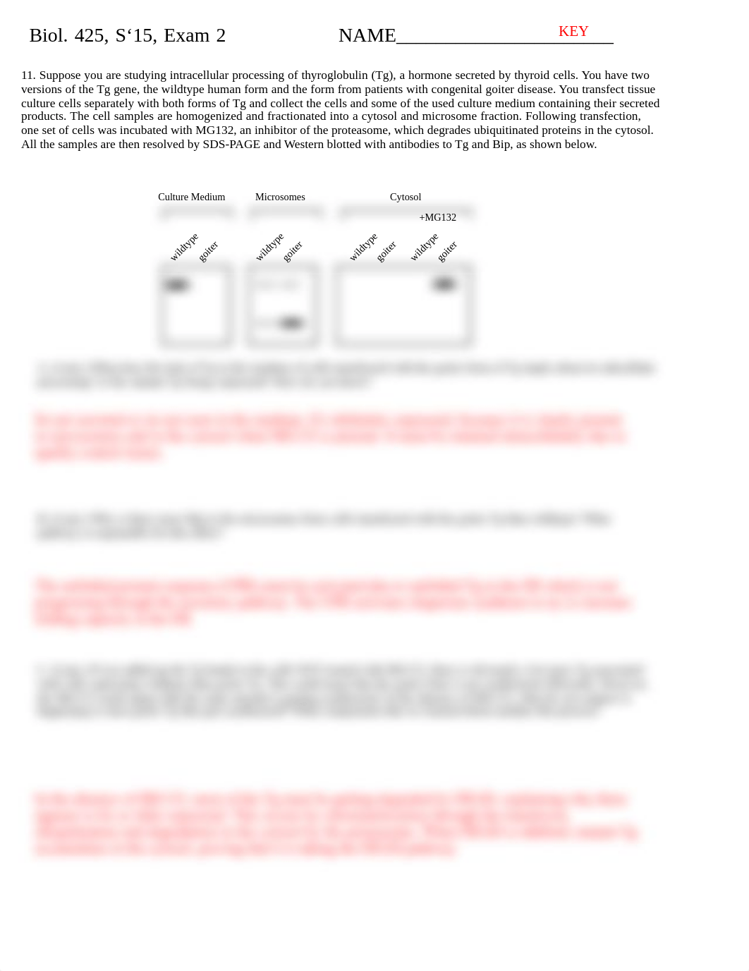 BIOB 425 Exam II_Review 3_dxpgbj5973u_page1