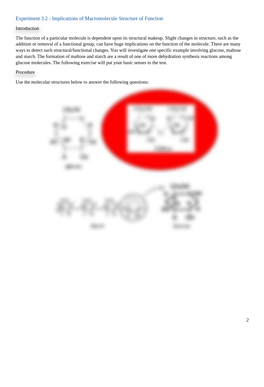 Copy of Lab Topic 3_ Macromolecules .pdf_dxpmjo993fq_page3