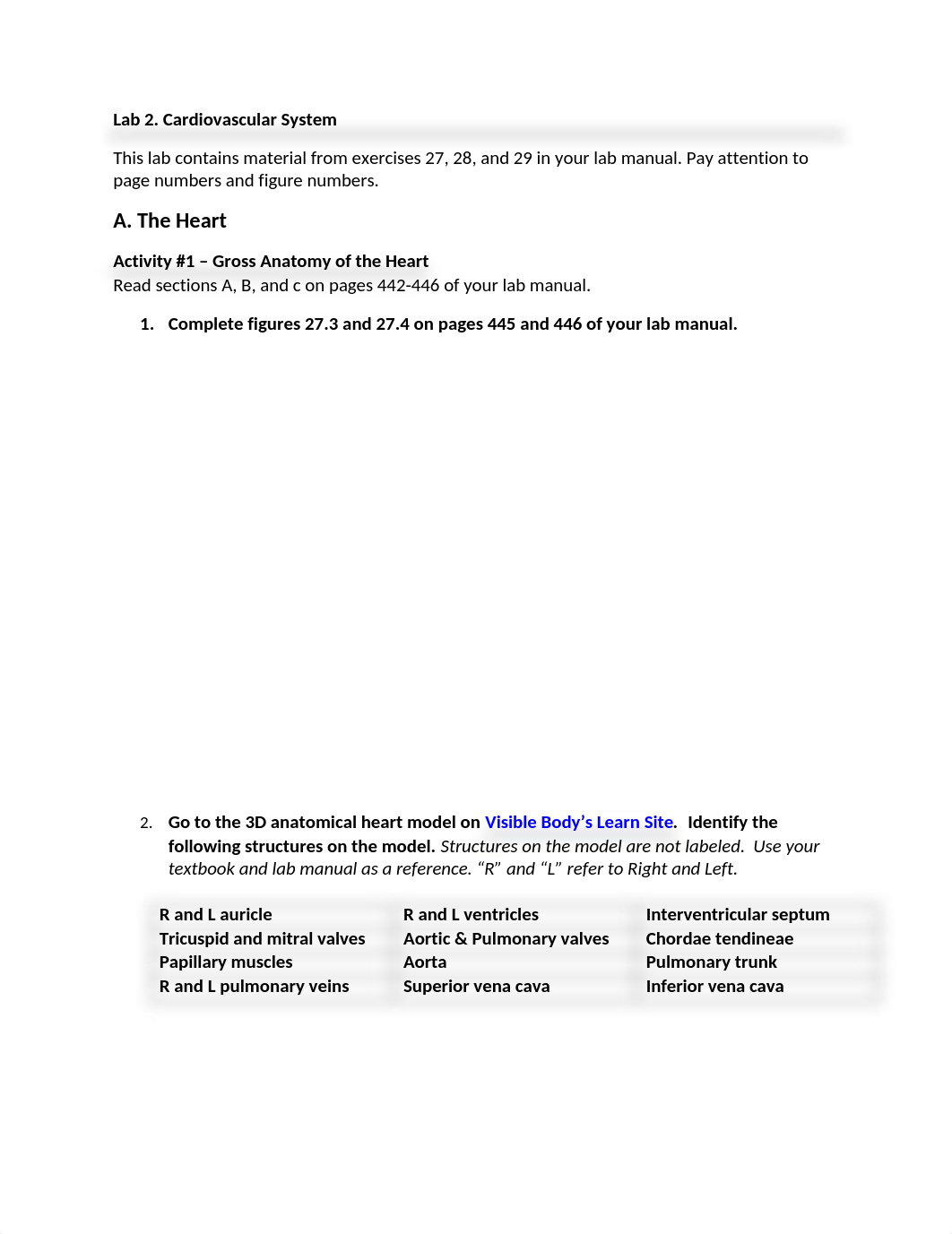 2 cardiovascular worksheet Bio242ol.docx_dxpnj6brvdj_page1