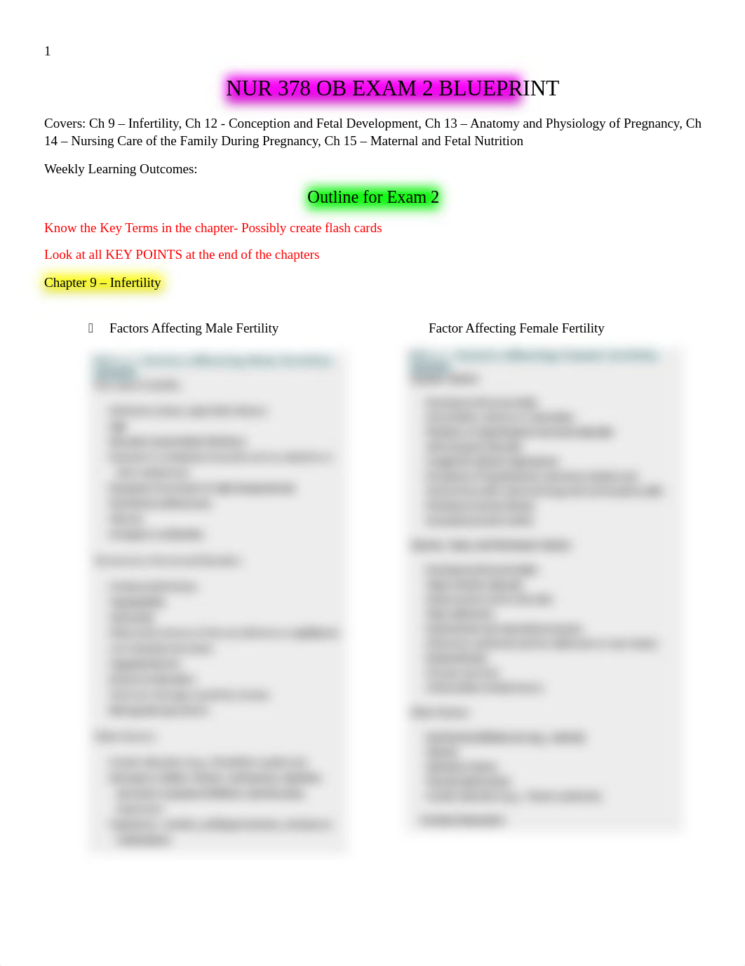 NUR 378 OB EXAM 2 Blueprint.docx_dxpre5pg7a8_page1