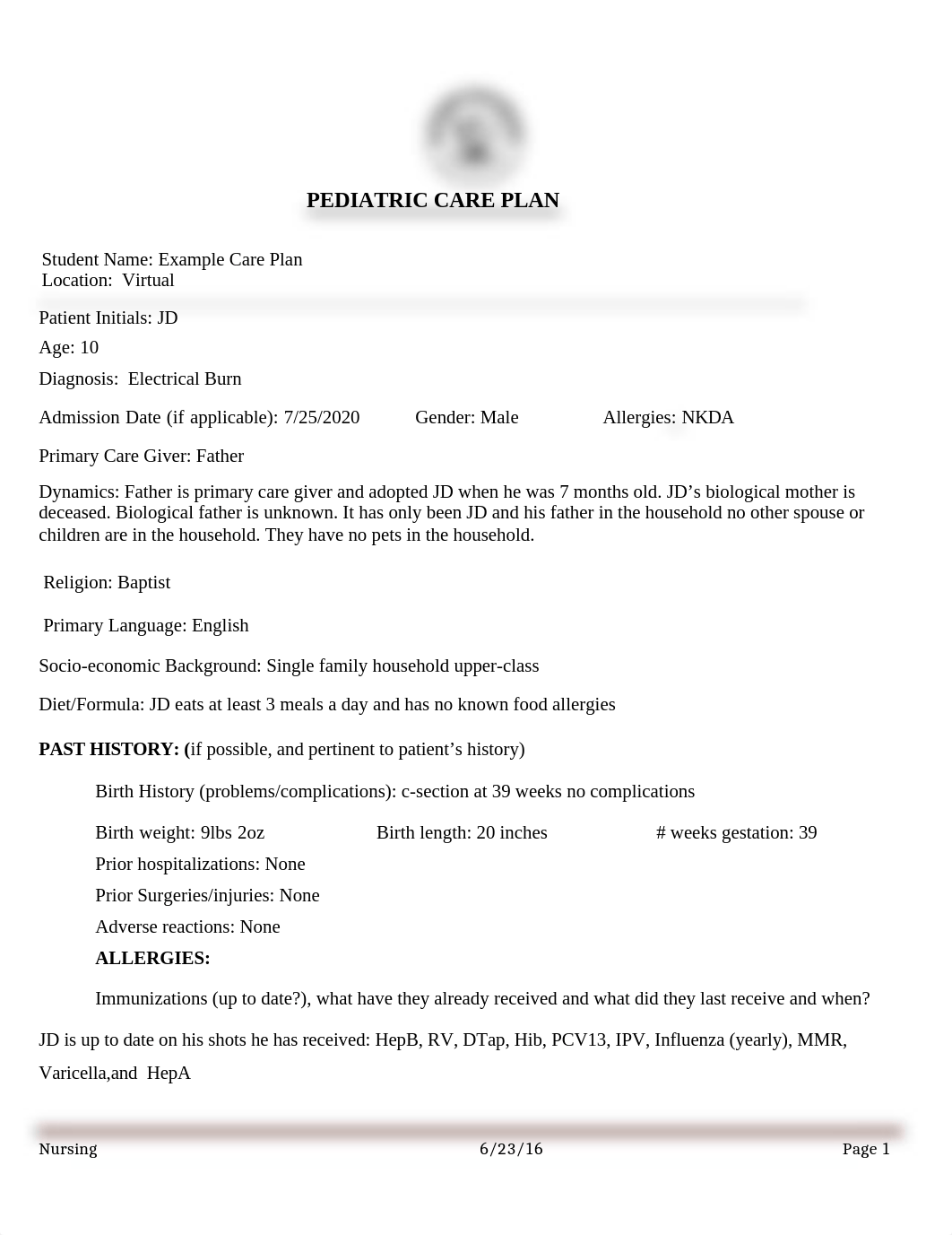 PEDS Care Plan Example.docx_dxpytfxkr7a_page1