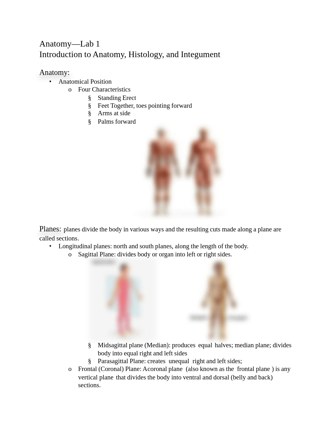 Anatomy—Lab 1.pdf_dxpz4brf21r_page1