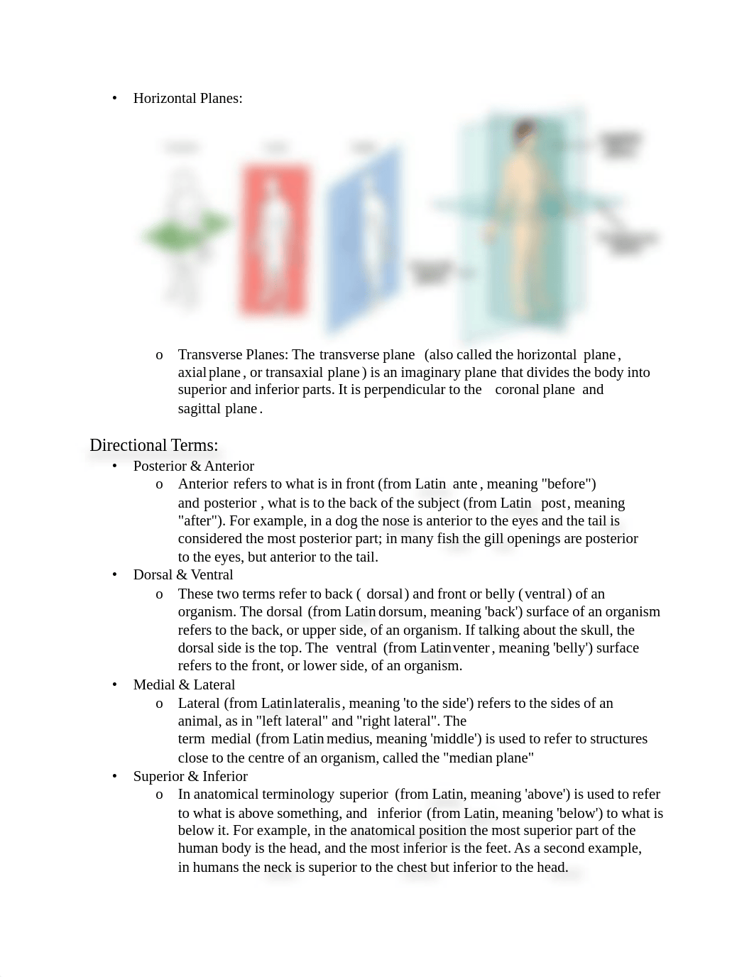 Anatomy—Lab 1.pdf_dxpz4brf21r_page2