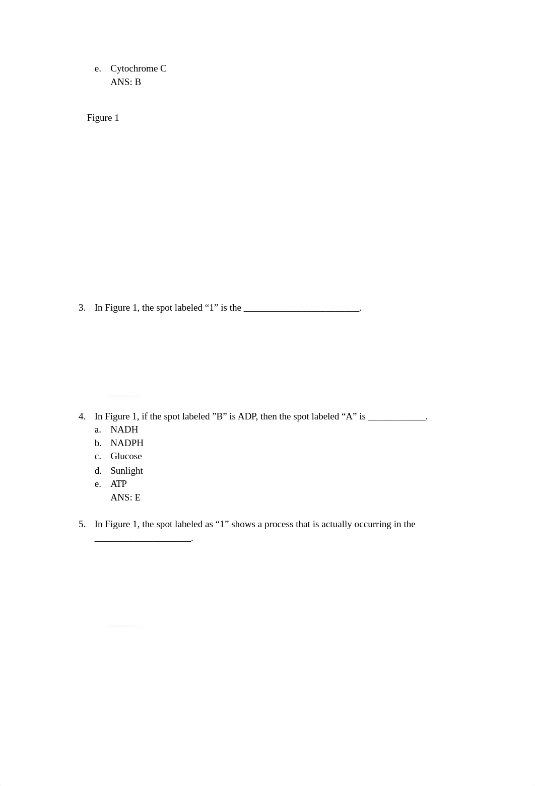 Exam 3 Version B with answers.docx_dxpzjr6ab6h_page2