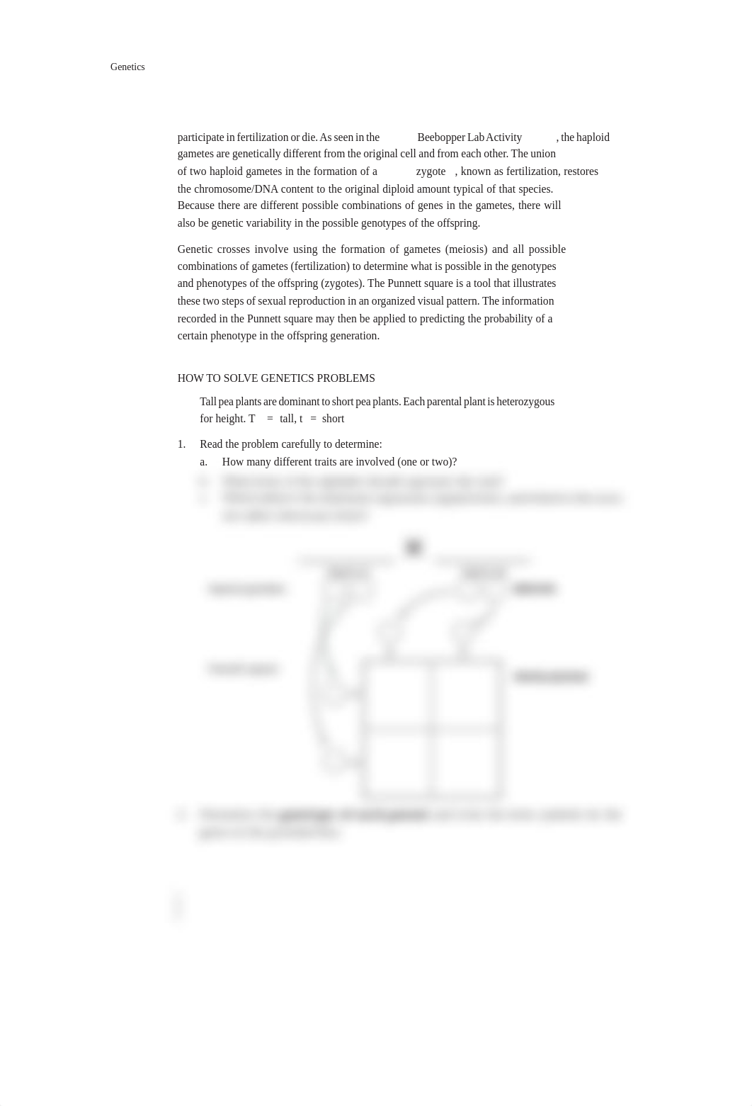 Genetics Section 1 Solving Genetics Problem Lab.pdf_dxpzt5yw2dx_page2