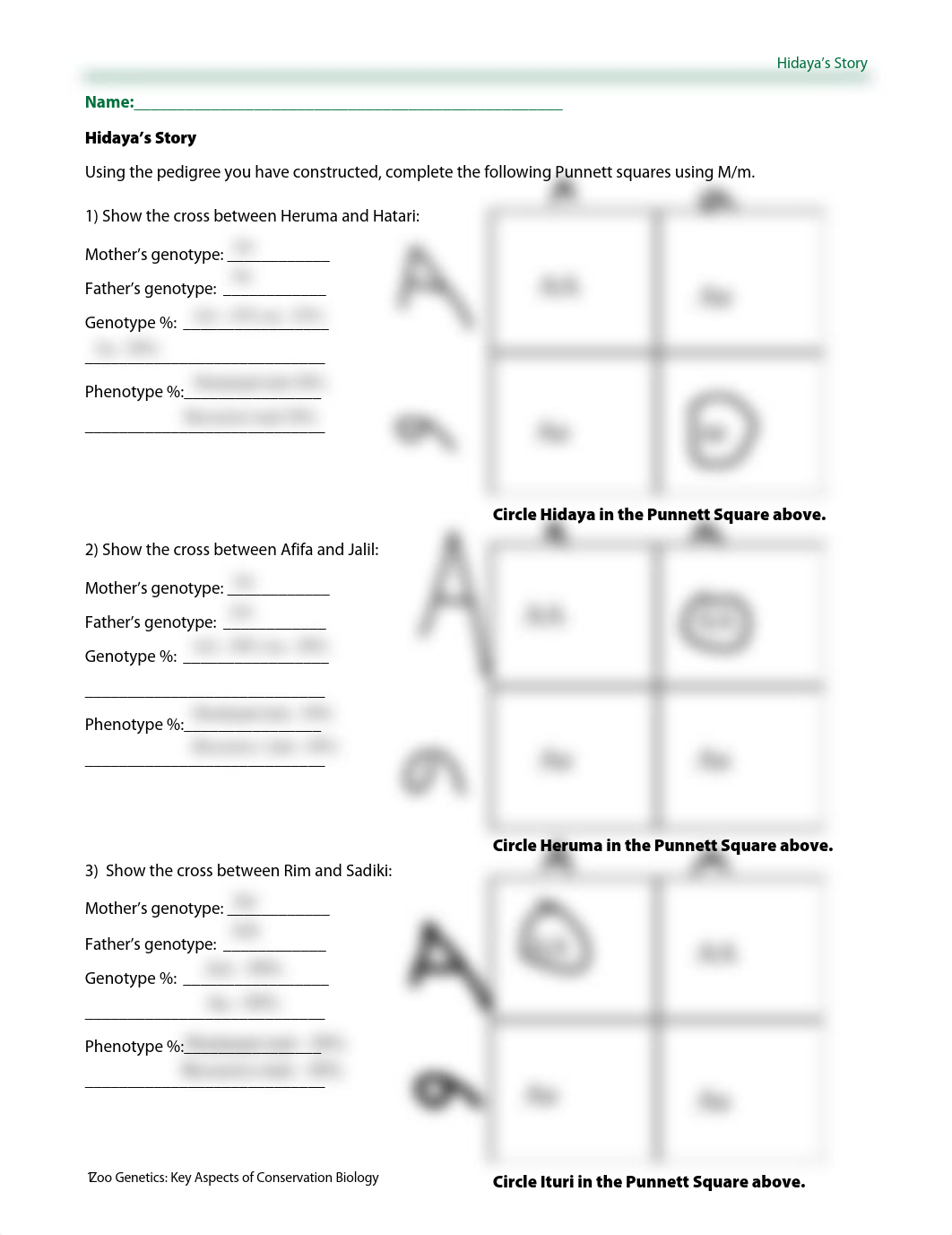 Matthew Marhefka - HidayaPunnettSquare.pdf_dxq07r9nz1h_page1