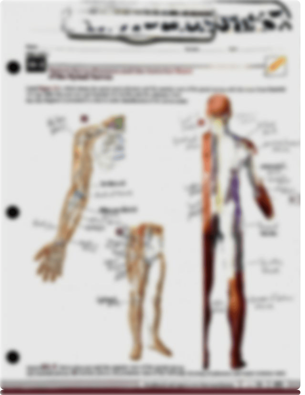 Prelab 14-1,14-2,14-3,14-4.pdf_dxq5eqwmz7e_page3