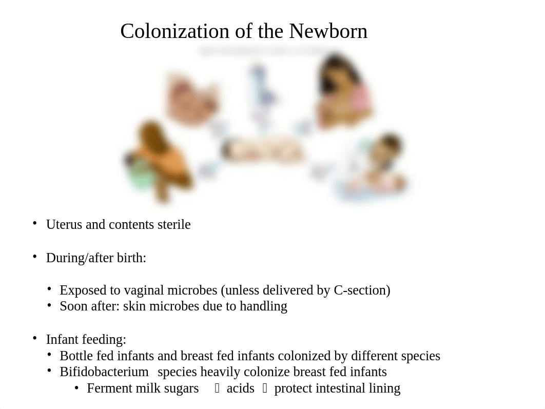 BIO 220 DISTANCE - Chapter 11 Powerpoint.pptx_dxq7g5kimj8_page5