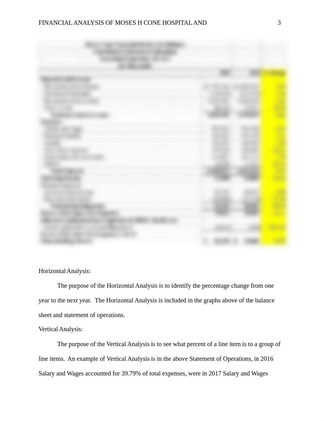 MHA 740 - Financial Paper.docx_dxqa3x0r13x_page3