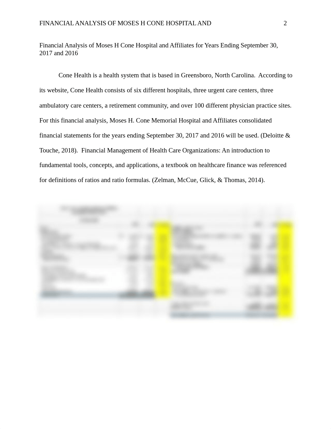 MHA 740 - Financial Paper.docx_dxqa3x0r13x_page2