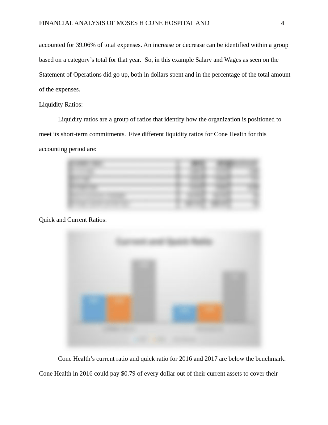 MHA 740 - Financial Paper.docx_dxqa3x0r13x_page4