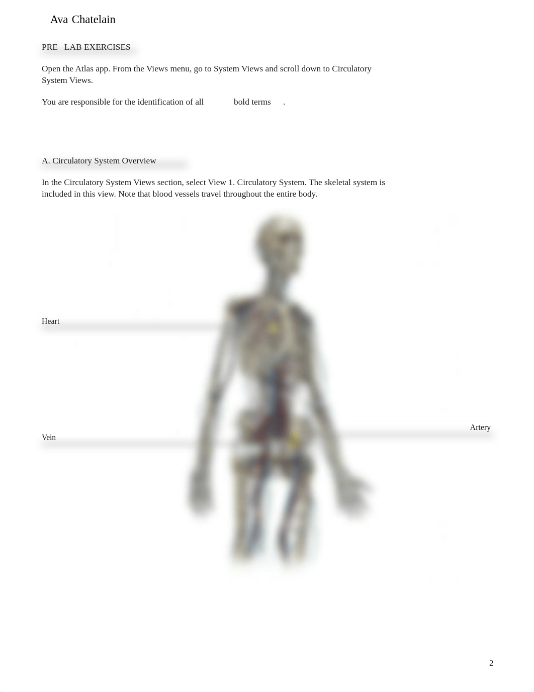 Blood and Blood Vessels Lab.pdf_dxqfnffdfpv_page2