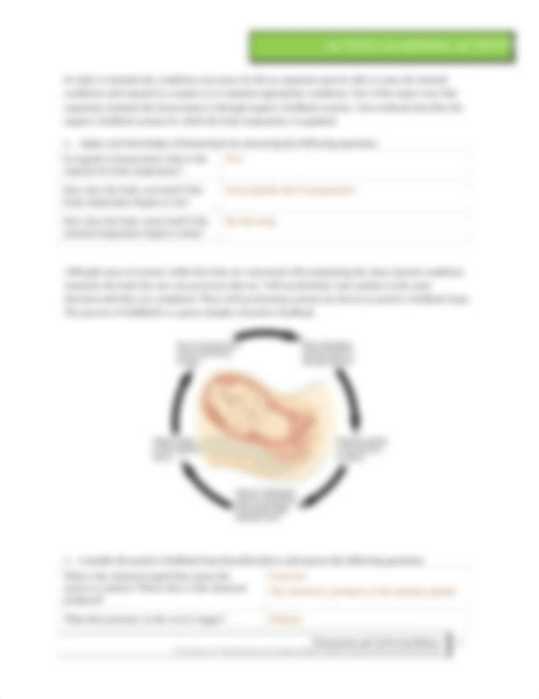 IGB3S_ALA Homeostasis and Achieving BalanceBASHAM.docx_dxqnc2brsoy_page2