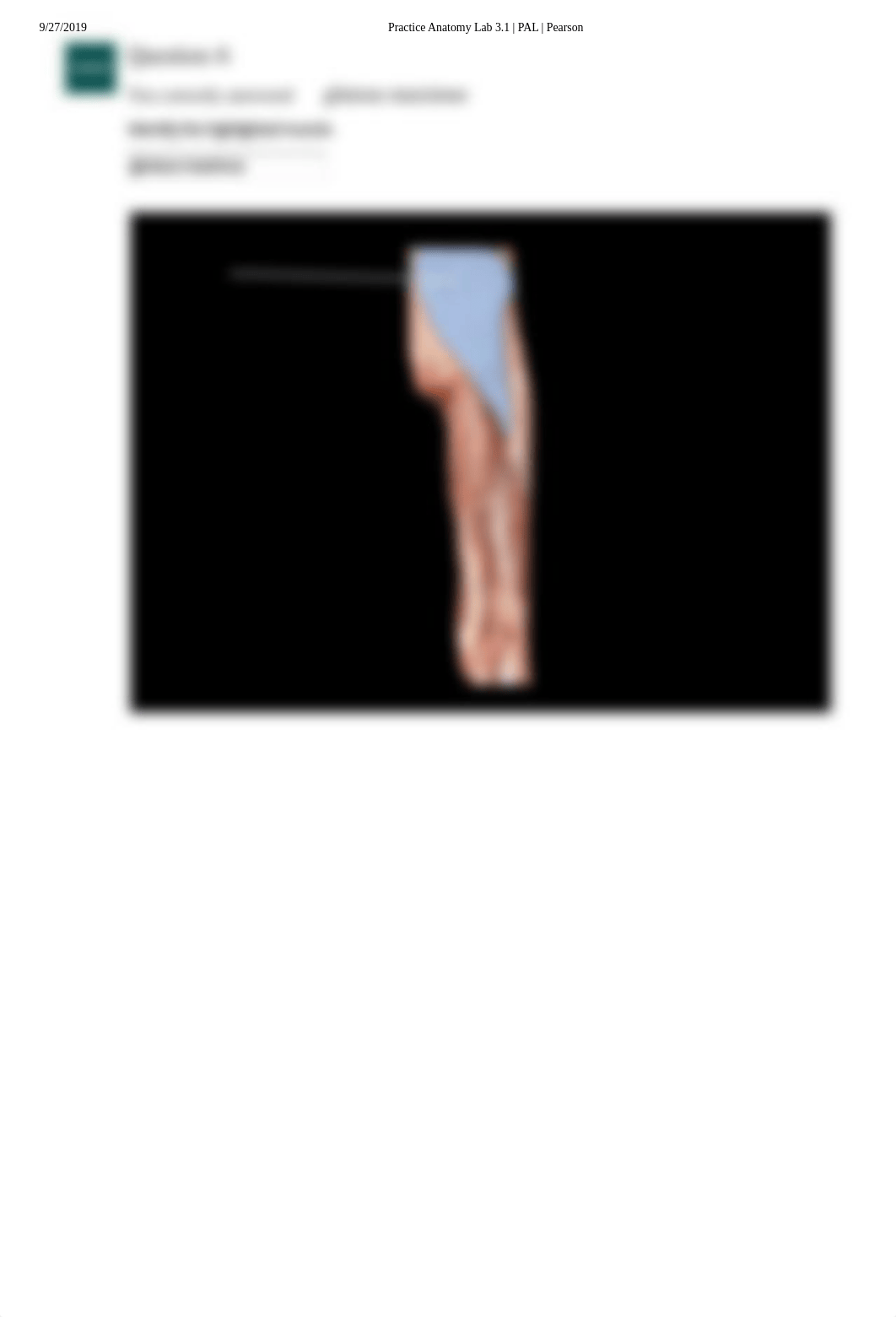 Pal Lab Practical Lower Limb cadaver .pdf_dxqod5vnku2_page4