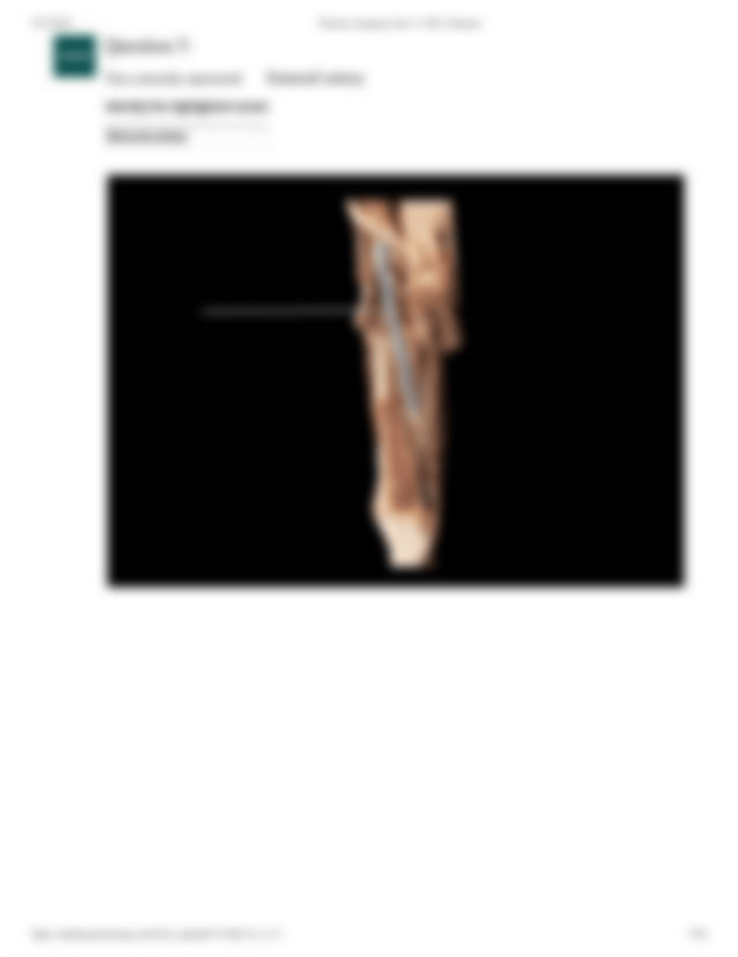 Pal Lab Practical Lower Limb cadaver .pdf_dxqod5vnku2_page5