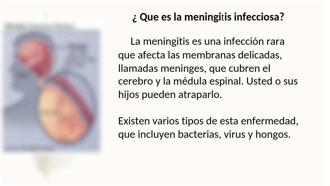 NURS 2631P PLAN DE ENSEÑANZA MENINGITIS.pptx_dxqpiifgg35_page4