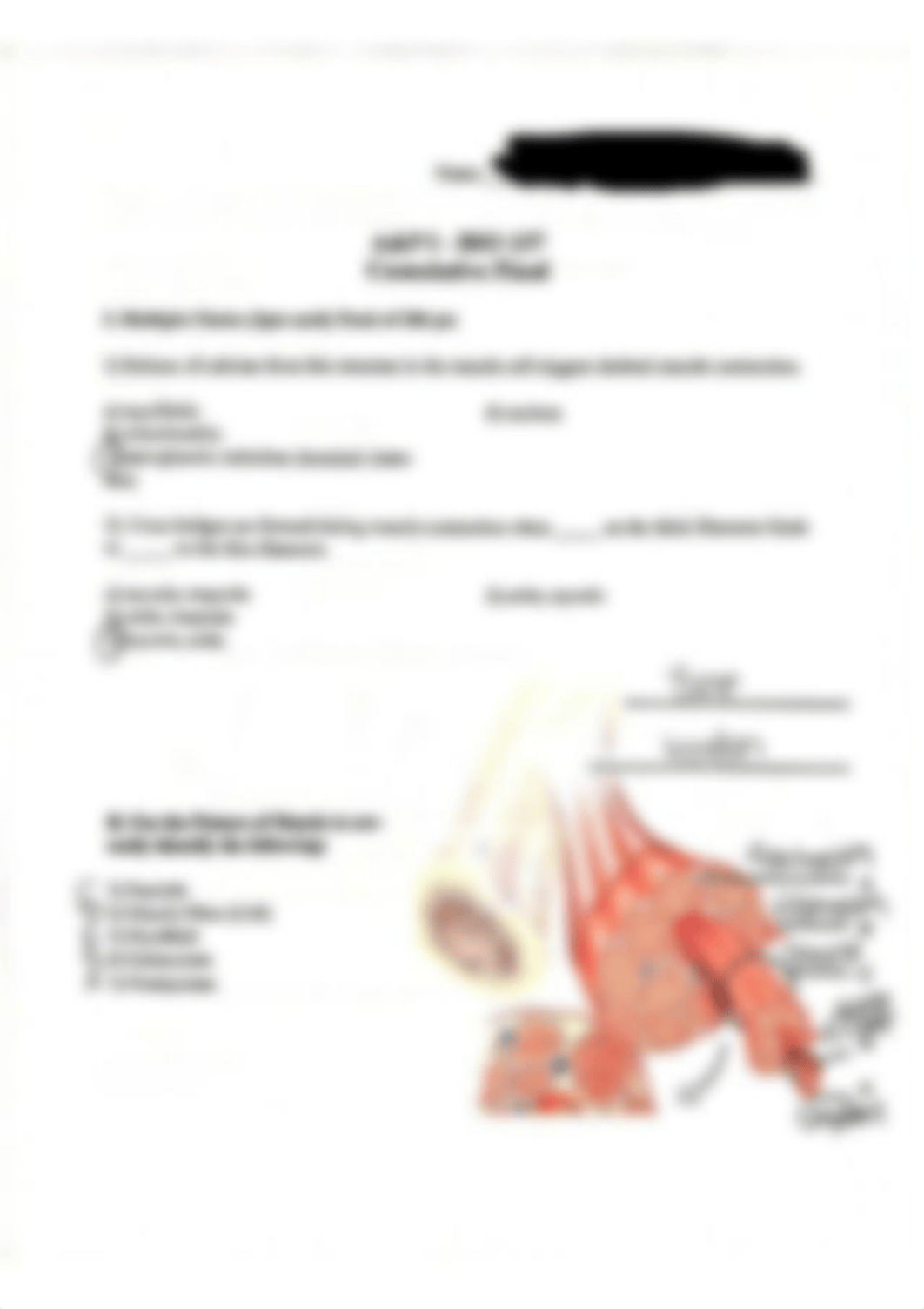 Bio 137 Final_dxqtqsehhso_page1