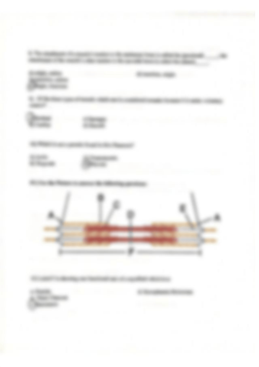 Bio 137 Final_dxqtqsehhso_page2