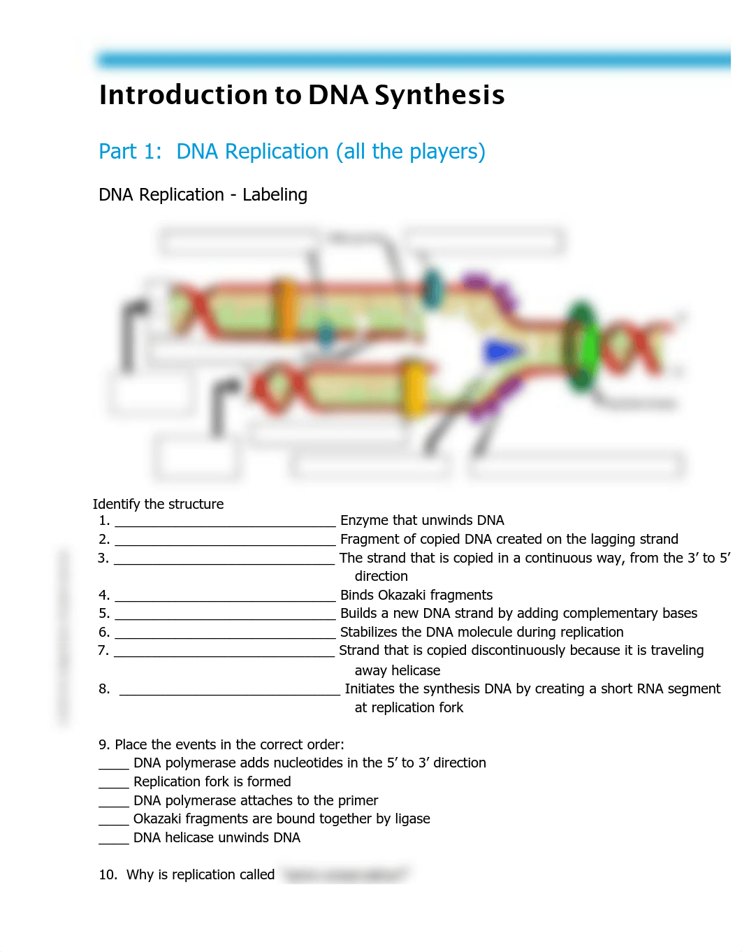 Week_4_DNA_synthesis_Activities_(1).pdf_dxqwy95utcp_page1