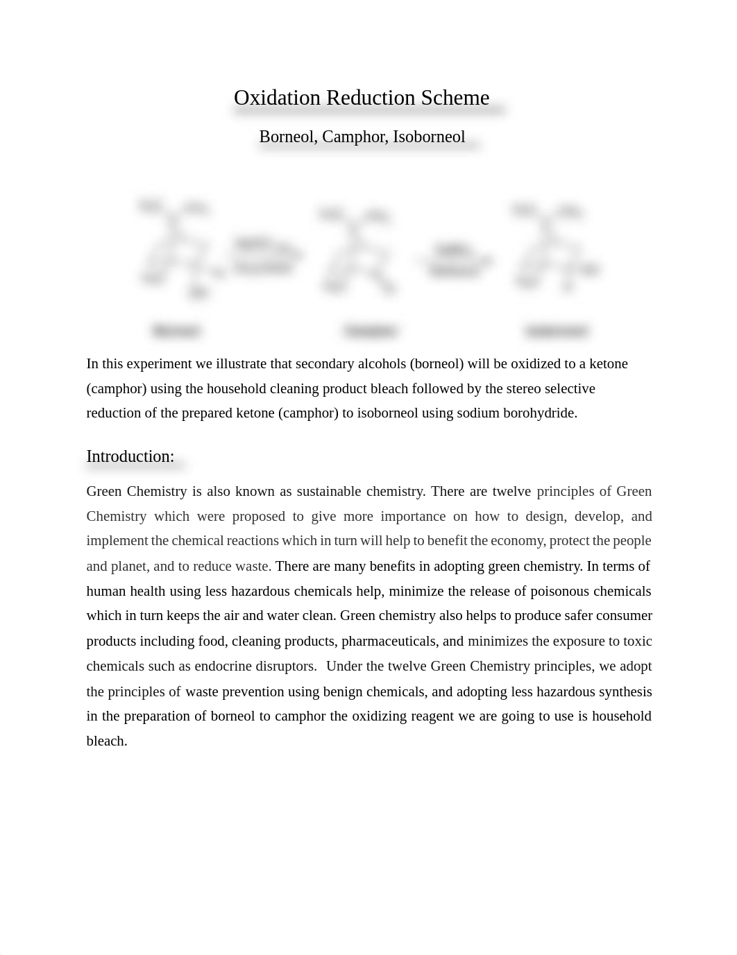 Oxidation of camphor using Bleach_alt procedure (3).pdf_dxqz0dh9snb_page1