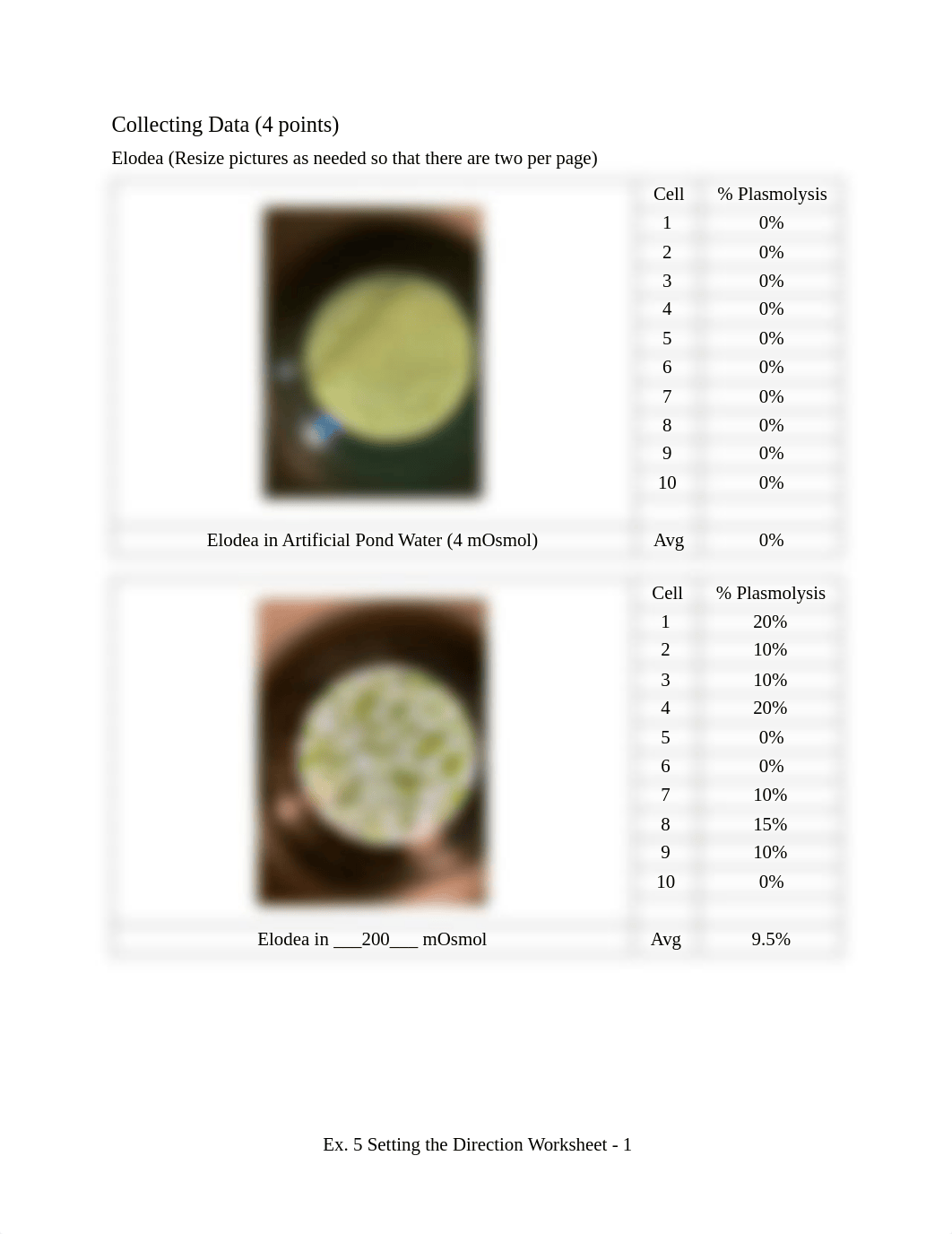 BIO_120_Exercise_Five_Osmosis_Worksheet_F2022.pdf_dxr1rpymnpx_page2