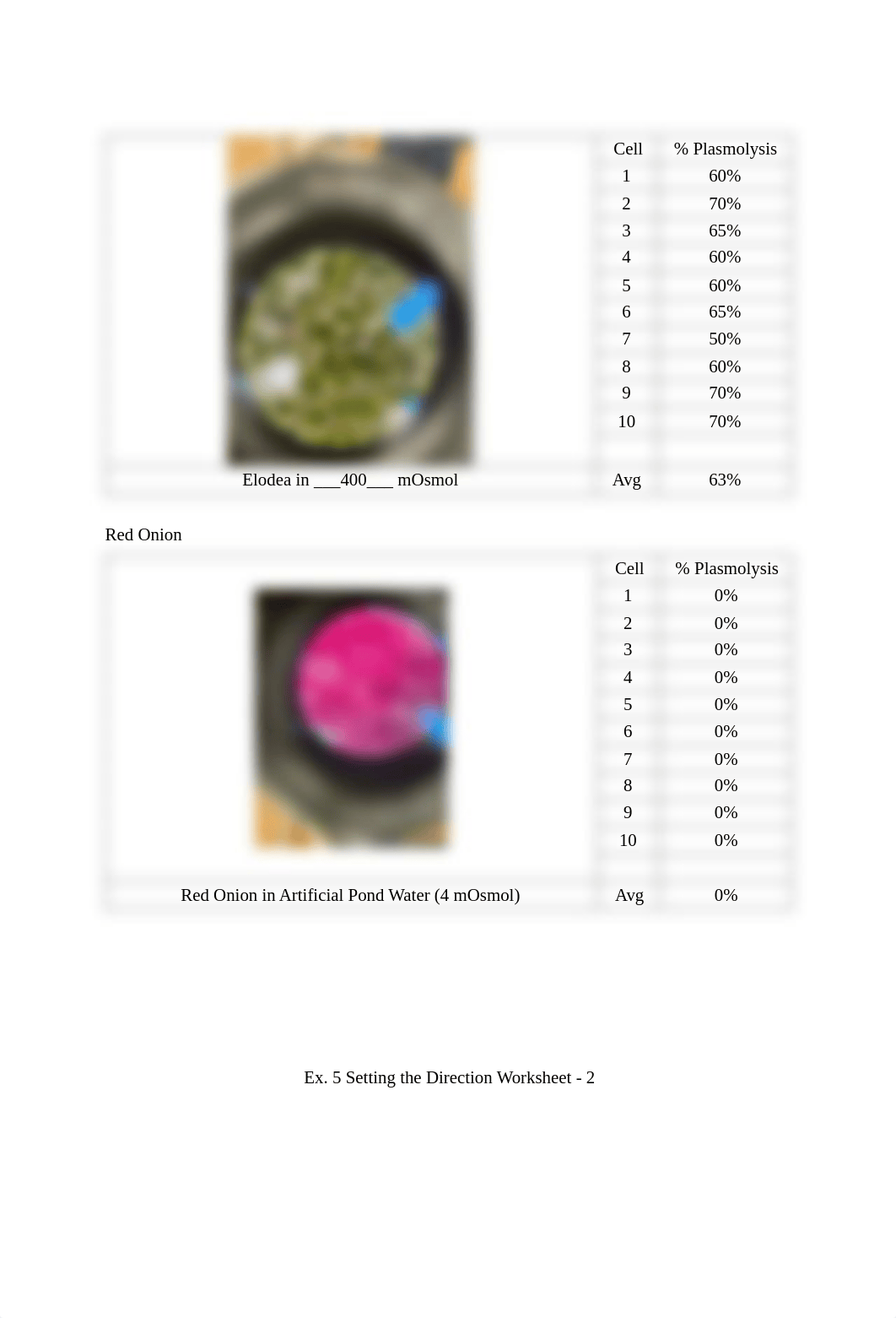 BIO_120_Exercise_Five_Osmosis_Worksheet_F2022.pdf_dxr1rpymnpx_page3