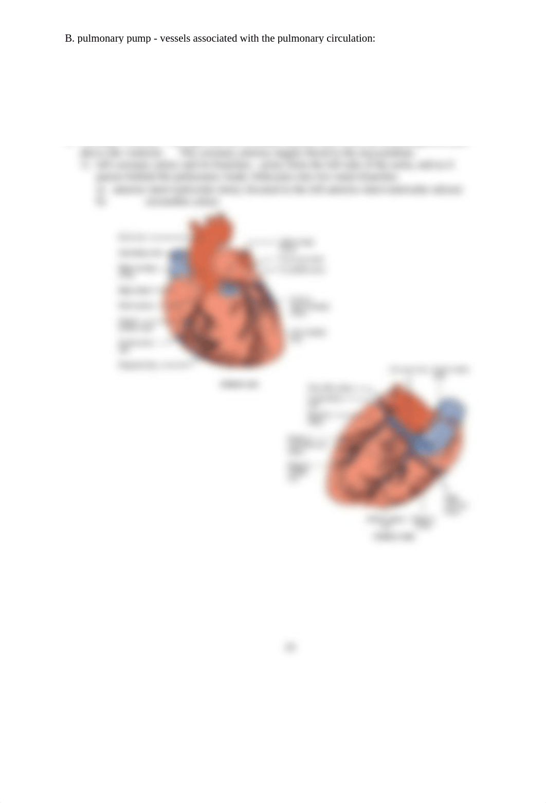 AP2_Lab2_Anatomy_of_the_Heart_Lab_SP21.docx_dxr3hz2uej6_page3