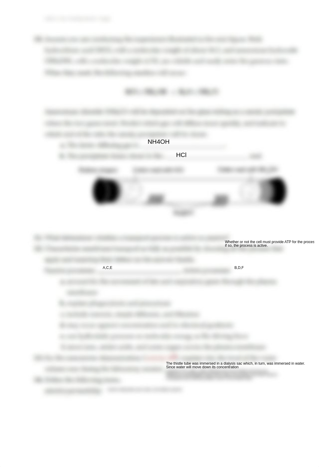 Ex05 Review sheet - The Cell - Transport Mechanisms and Permeability (1).pdf_dxr3o2dj0a2_page3