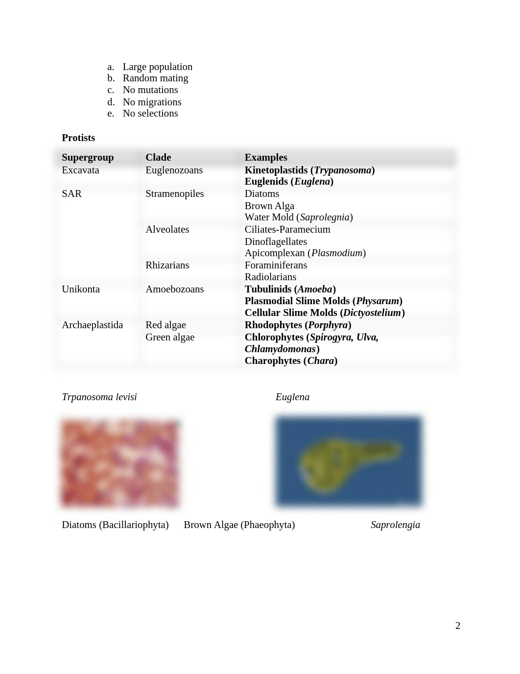 Lab Practical Review #1.docx_dxr4eu4t6aj_page2